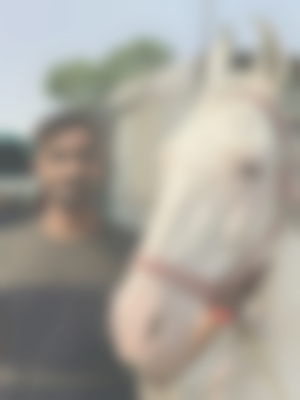 Bhavin – Sperm Donor in Rajkot, Gujarat, India