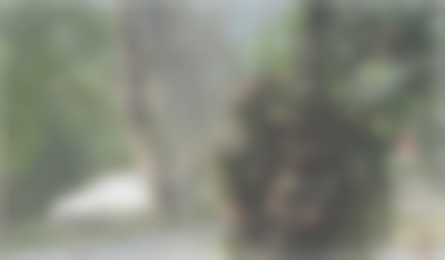 Sanjeev – Sperm Donor in Dibrugarh, Assam, India