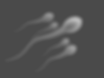 Karunkar – Sperm Donor in Vijayawada, Andhra Pradesh, India – photo 2