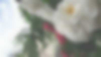 Rizwan – Sperm Donor in Hunza, Northern Areas, Pakistan – photo 2