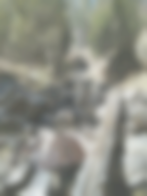 Kuldeep β Sperm Donor in Shimla, Himachal Pradesh, India