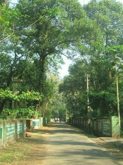 Priya – Intended Parents in New Delhi, Delhi, India