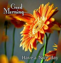 Sagar