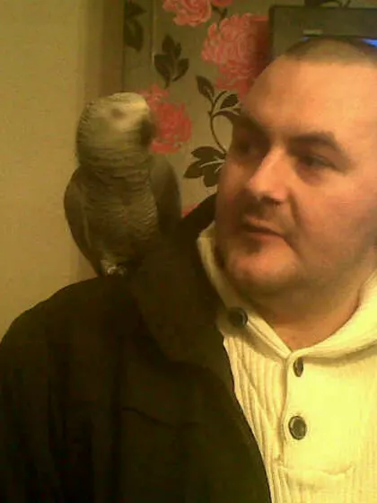 Martyn β Intended Parents in Lanark, Scotland, United Kingdom