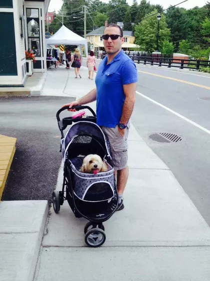 Jamie – Intended Parents in Montreal, Quebec, Canada – photo 2