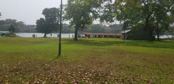 Sreekuttan