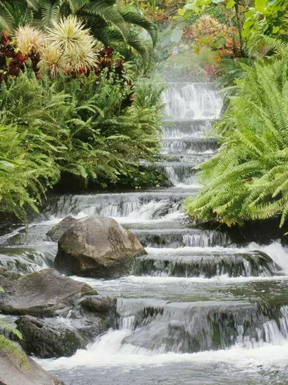 Mary β Intended Parents in Houston, Texas, United States