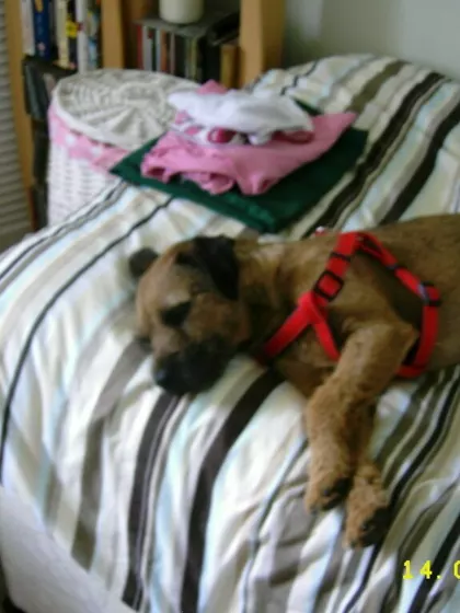 Craig – Intended Parents in Glasgow, Scotland, United Kingdom – photo 4