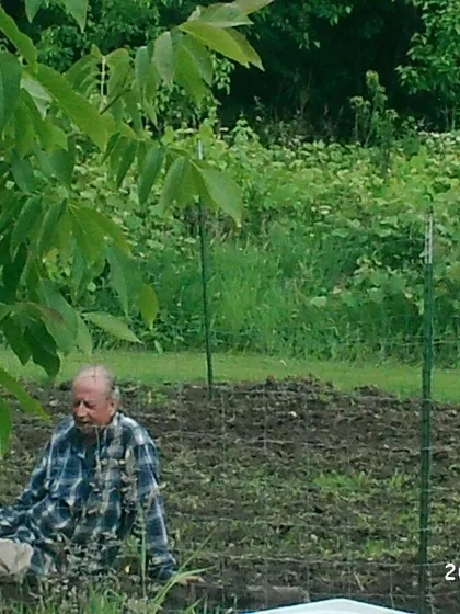 Peter – Intended Parent in Bellingham, Washington, United States