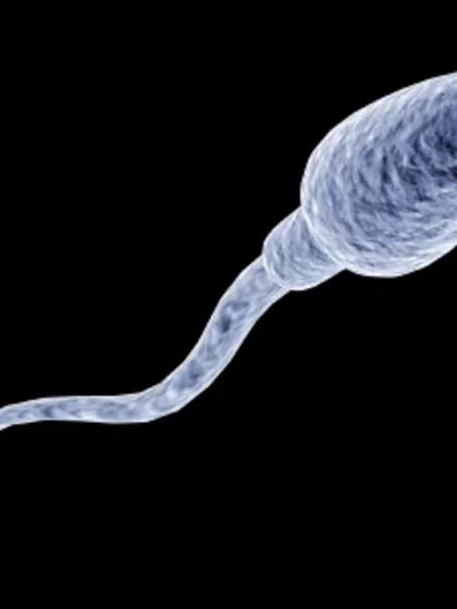 Raja – Sperm Donor in Tezpur, Assam, India