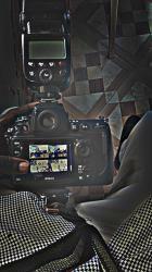 Drey
