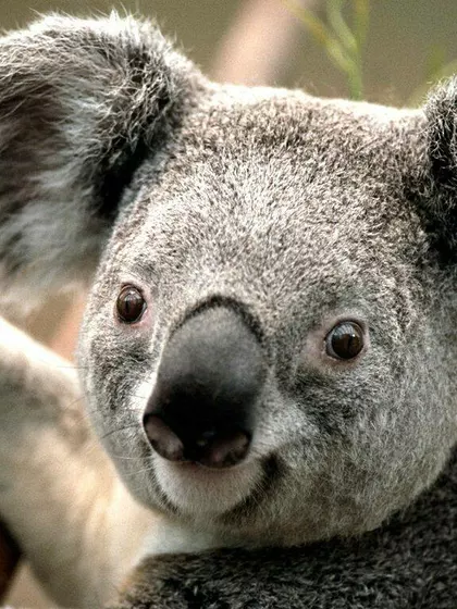 Rohit ā Sperm Donor in Gurgaon, Haryana, India