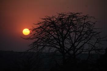 Amrut