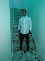 Ilies