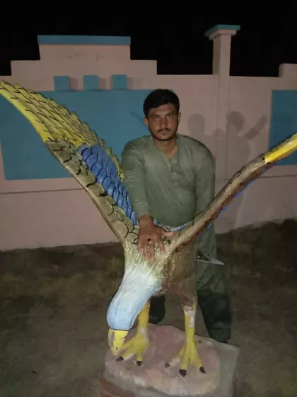 Rana – Sperm Donor in Faisalabad, Punjab, Pakistan – photo 3