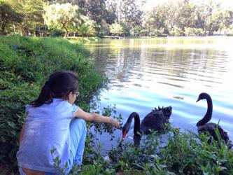 Photo 4 of egg donor profile in Sao Paulo, Sao Paulo, Brazil