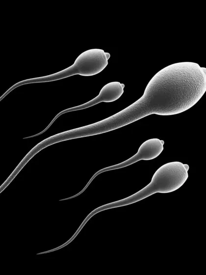 Karunkar – Sperm Donor in Vijayawada, Andhra Pradesh, India – photo 2