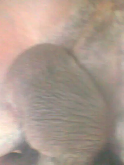 Innocent – Sperm Donor in Alimosho, Lagos, Nigeria – photo 4