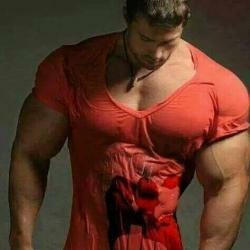 Hameed