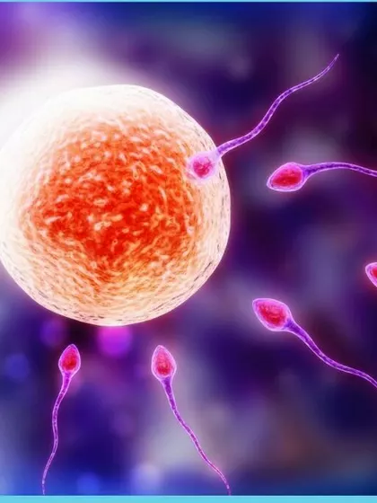 Amar sperm donor profile in Chandigarh, Chandigarh, India