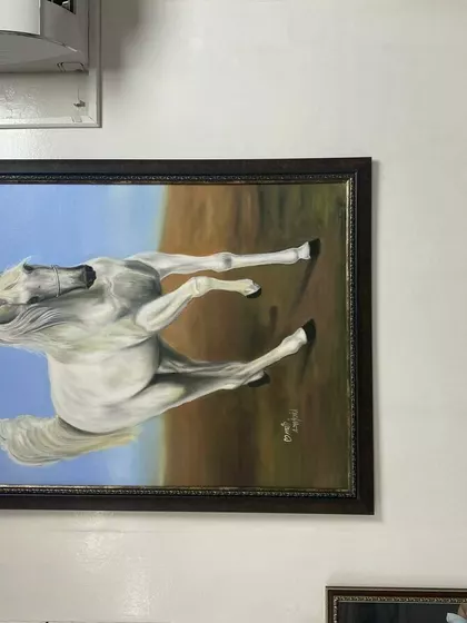 Sperm Donor – Sperm Donor in Ad Da ayin, Al Khawr, Qatar – photo 1