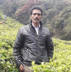 Kumar