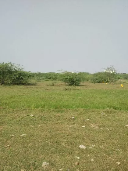 Ram – Sperm Donor in Nellore, Andhra Pradesh, India