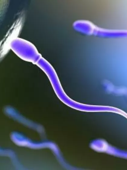 Onur ā Sperm Donor in Istanbul, Turkey