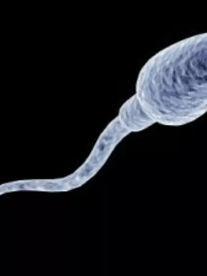 Mo – Sperm Donor in Calgary, Alberta, Canada