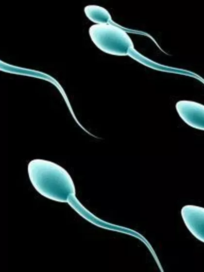 Vikram – Sperm Donor in Bangalore City, Karnataka, India – photo 2