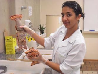 Photo 3 of egg donor profile in Sao Paulo, Sao Paulo, Brazil