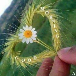 Rahul