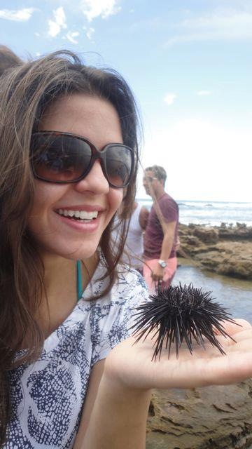 Egg Donor profile in Sao Paulo, Sao Paulo, Brazil on SurrogateFinder