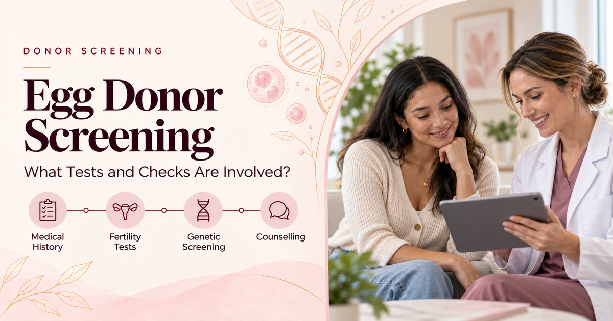 Egg Donor Screening: What Tests and Checks Are Involved?