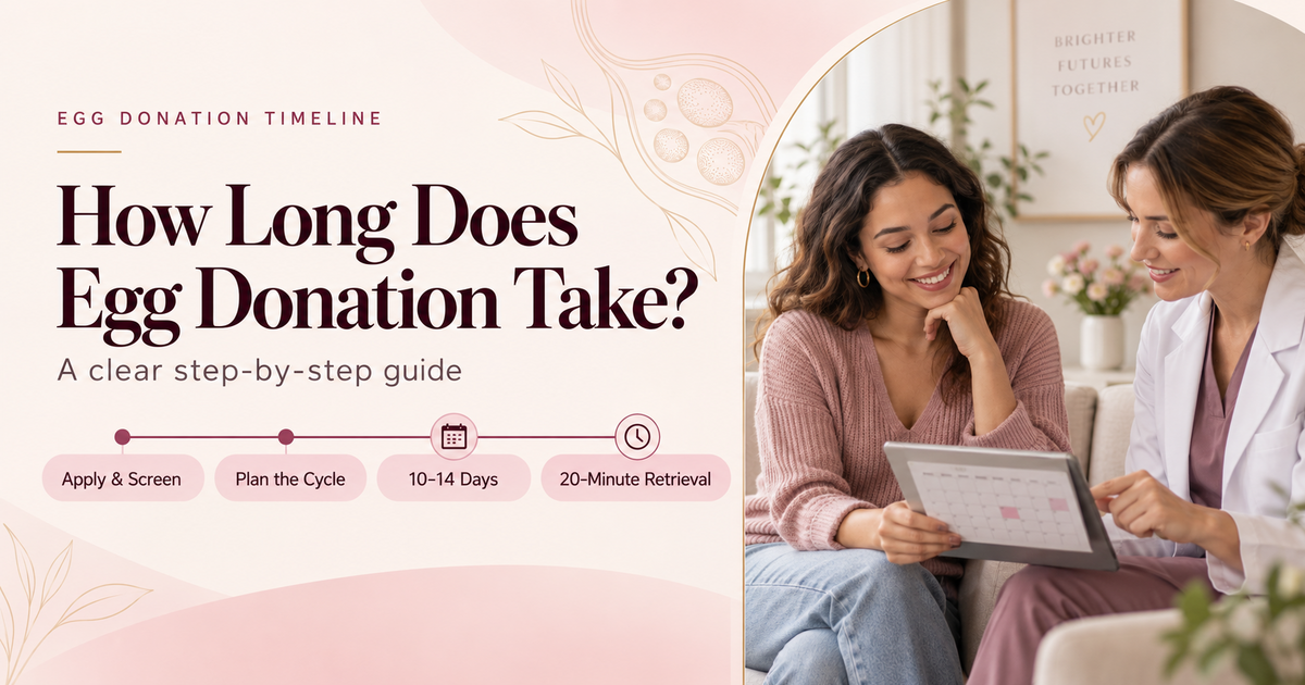 How Long Does Egg Donation Take?