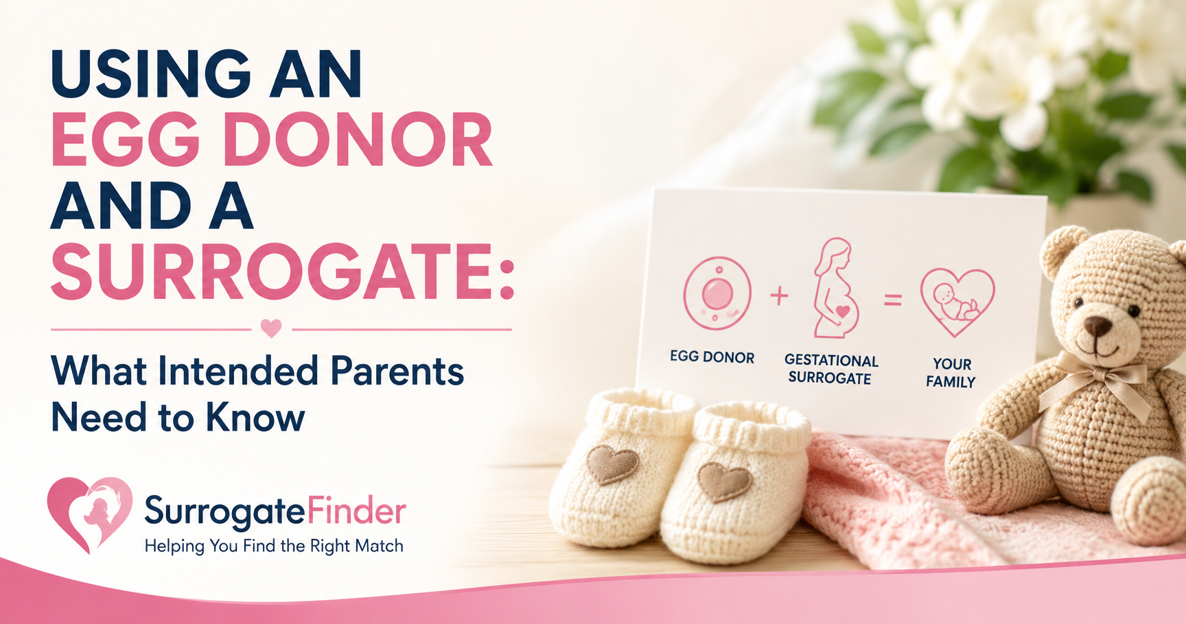 Using an Egg Donor and a Surrogate: What Intended Parents Need to Know